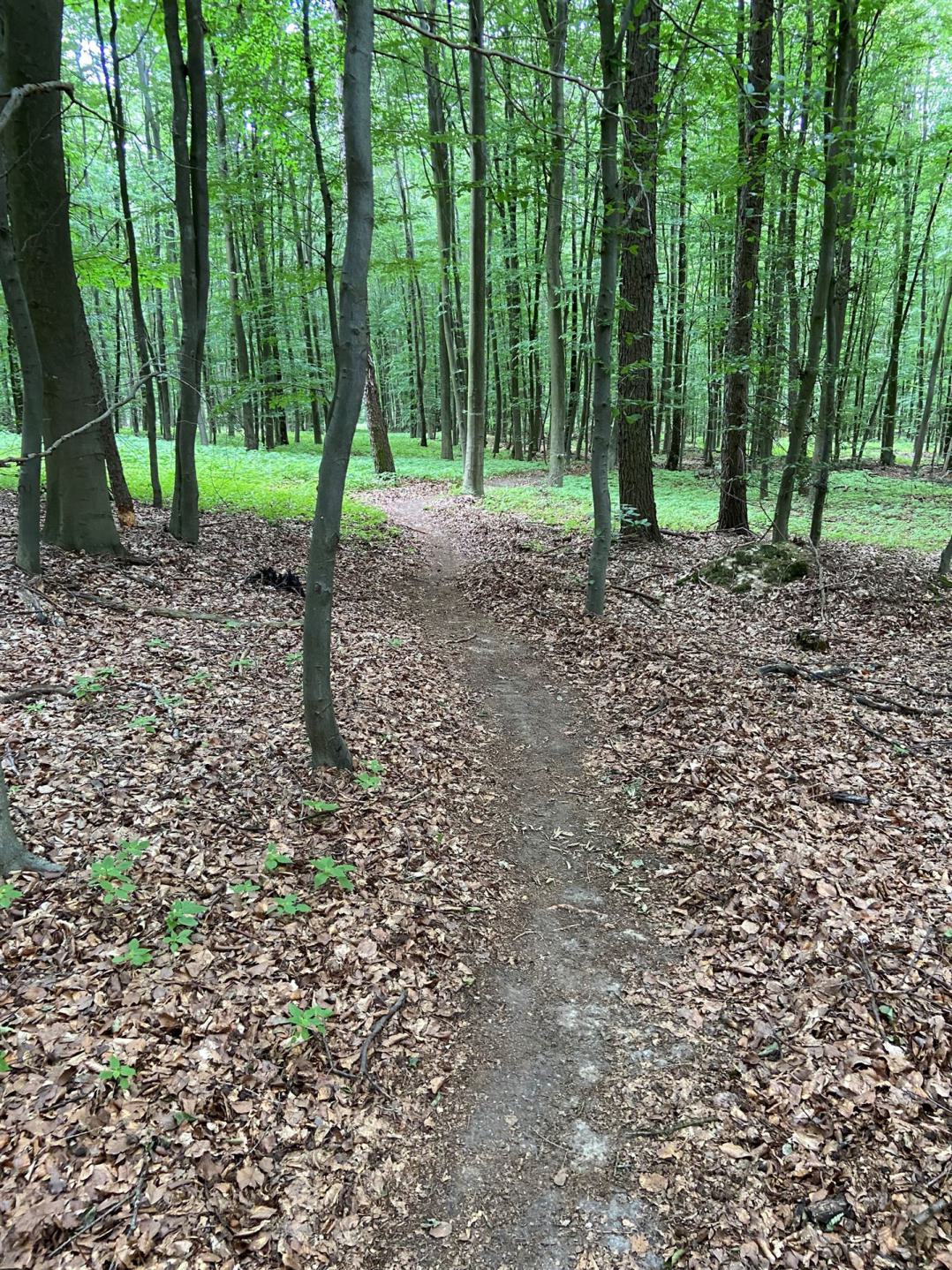 Bild_2