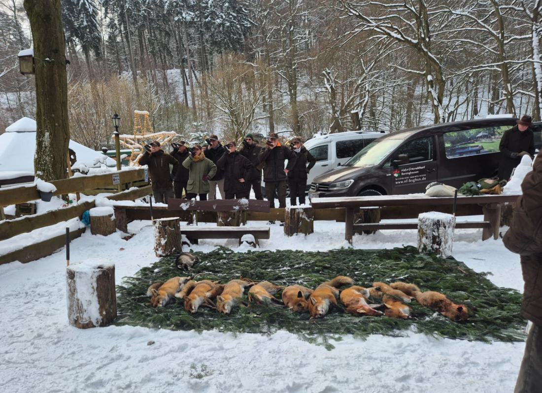 Fuchsansitz_01.02.2026