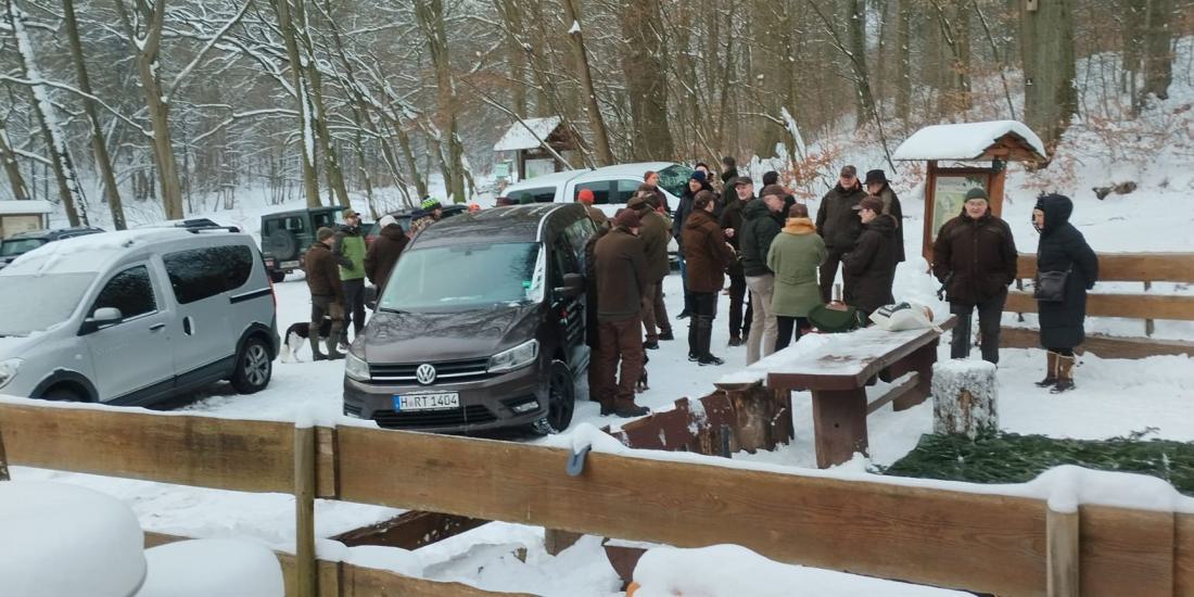 WhatsApp Image 2026-02-01 at 12.10.27 (2)