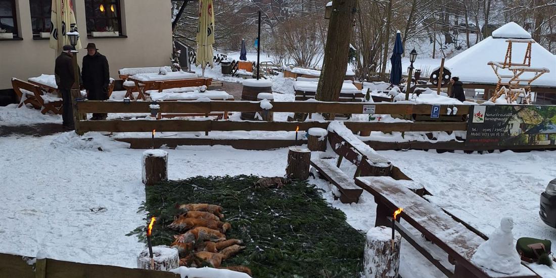 WhatsApp Image 2026-02-01 at 12.11.08