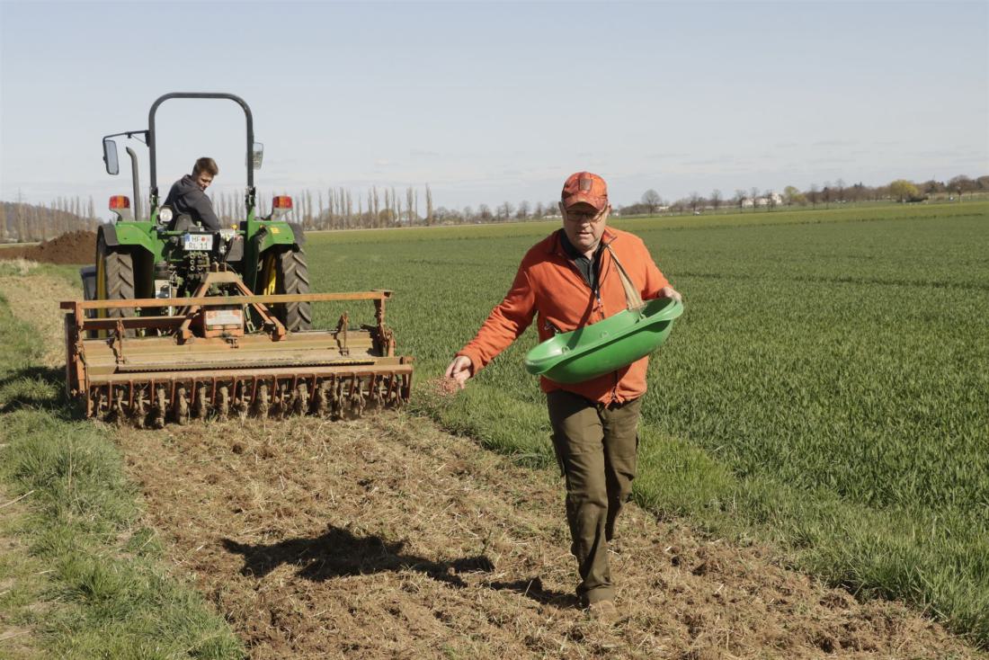 Jürgen Meisinger verteilt das Saatgut